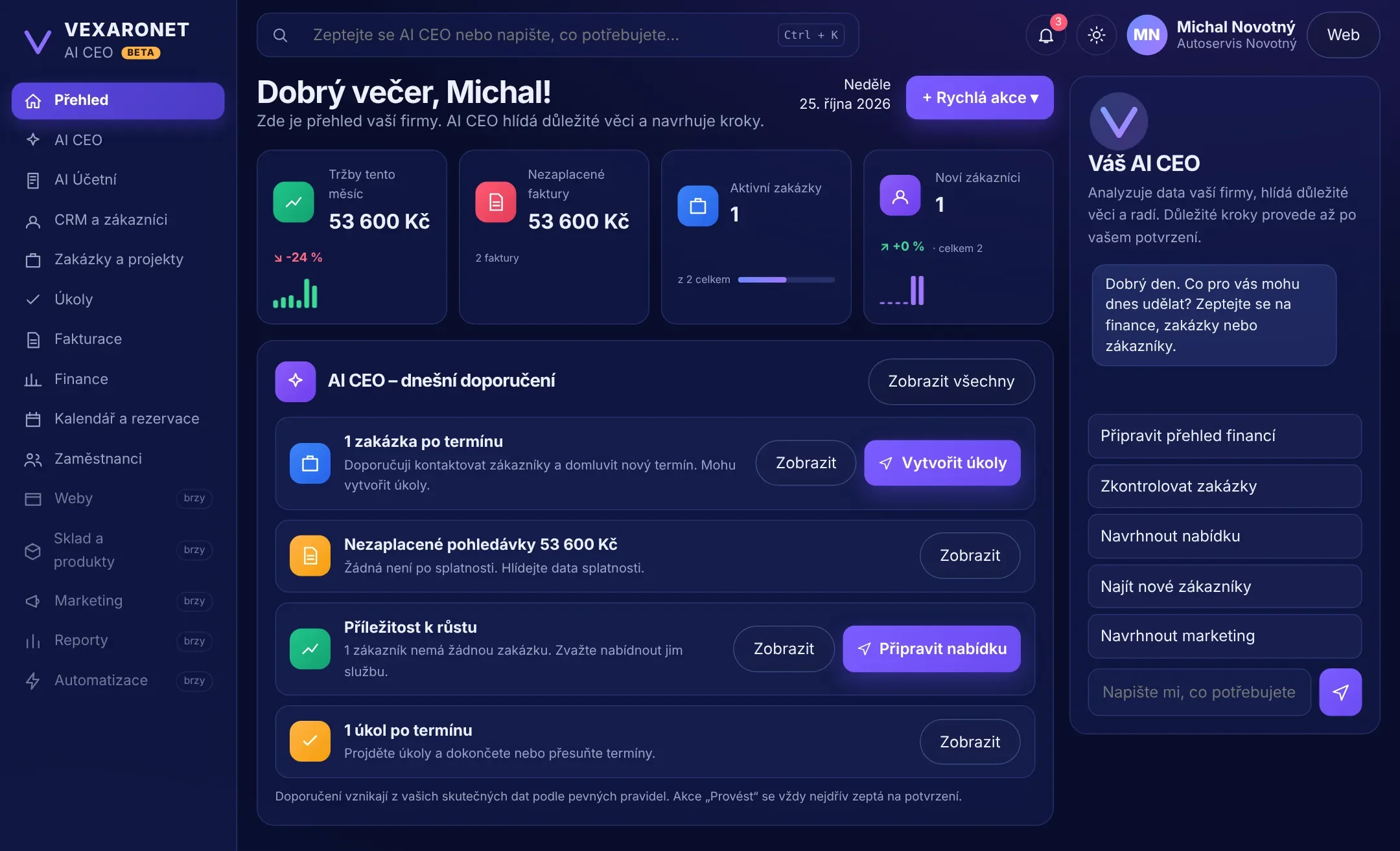 Přehled firmy ve Vexaronetu: ukazatele, doporučení AI CEO a chat s AI CEO (ukázková data)